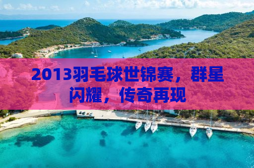 2013羽毛球世锦赛，群星闪耀，传奇再现