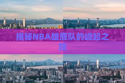 揭秘NBA雄鹿队的崛起之路