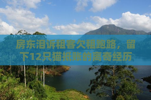 房东泪诉租客欠租跑路，留下12只猫抵账的离奇经历