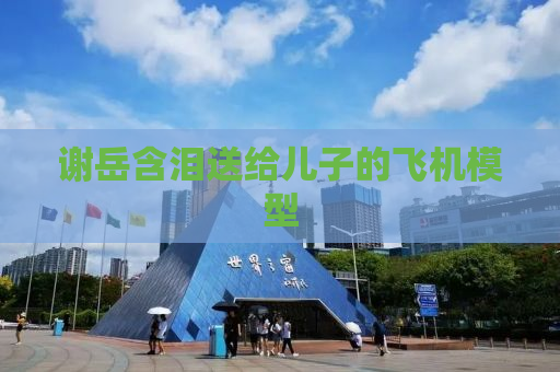谢岳含泪送给儿子的飞机模型