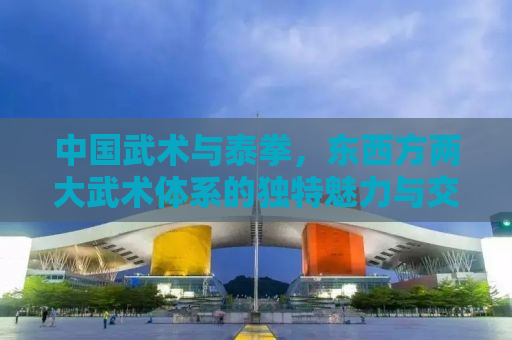 中国武术与泰拳，东西方两大武术体系的独特魅力与交融发展