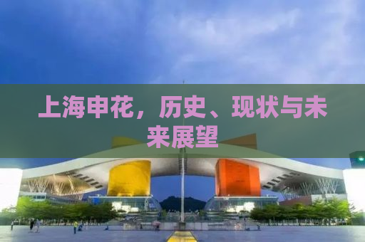上海申花，历史、现状与未来展望