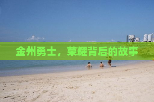 金州勇士，荣耀背后的故事
