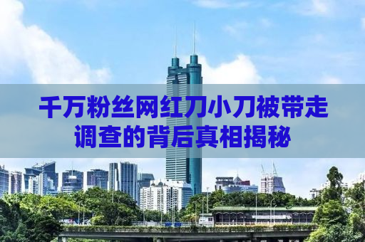 千万粉丝网红刀小刀被带走调查的背后真相揭秘