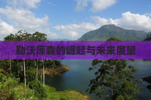 勒沃库森的崛起与未来展望