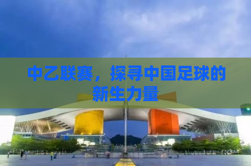 中乙联赛，探寻中国足球的新生力量