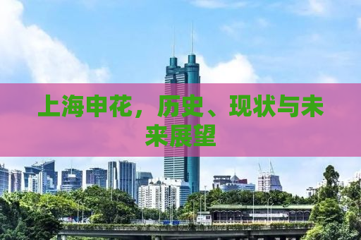 上海申花，历史、现状与未来展望