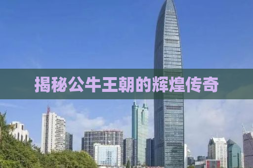 揭秘公牛王朝的辉煌传奇