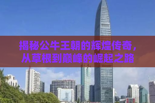 揭秘公牛王朝的辉煌传奇，从草根到巅峰的崛起之路