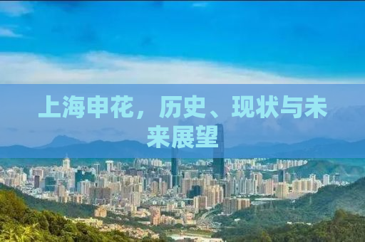 上海申花，历史、现状与未来展望