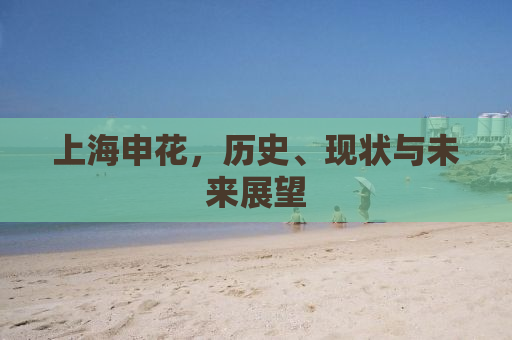 上海申花，历史、现状与未来展望
