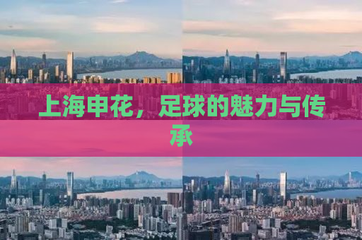 上海申花，足球的魅力与传承