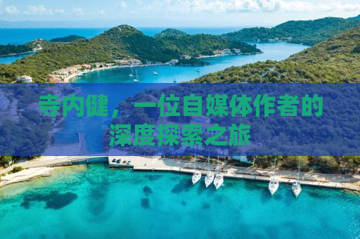 寺内健，一位自媒体作者的深度探索之旅