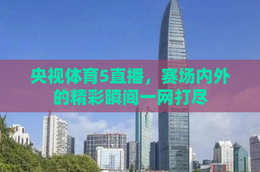 央视体育5直播，赛场内外的精彩瞬间一网打尽