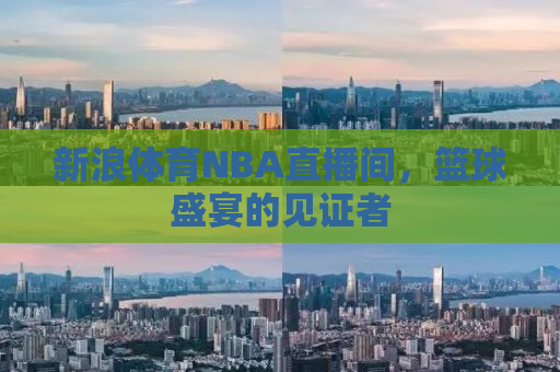 新浪体育NBA直播间，篮球盛宴的见证者