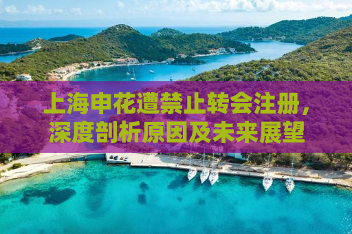 上海申花遭禁止转会注册，深度剖析原因及未来展望