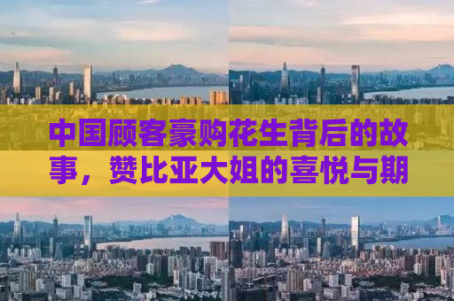 中国顾客豪购花生背后的故事，赞比亚大姐的喜悦与期待