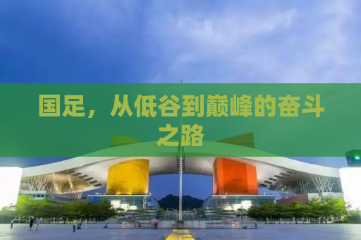 国足，从低谷到巅峰的奋斗之路