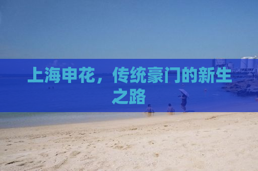 上海申花，传统豪门的新生之路