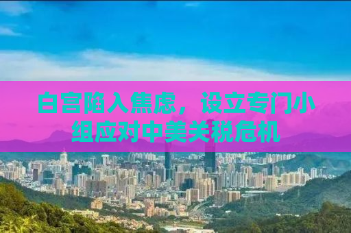 白宫陷入焦虑，设立专门小组应对中美关税危机