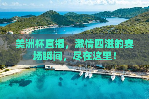 美洲杯直播，激情四溢的赛场瞬间，尽在这里！