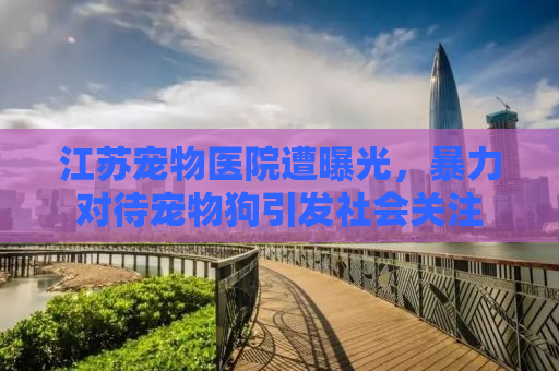 江苏宠物医院遭曝光，暴力对待宠物狗引发社会关注
