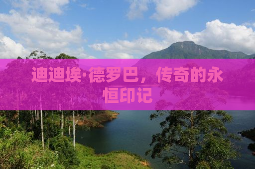 迪迪埃·德罗巴，传奇的永恒印记