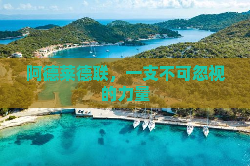 阿德莱德联，一支不可忽视的力量