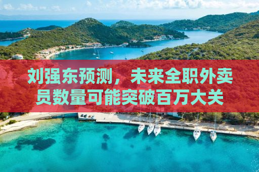 刘强东预测，未来全职外卖员数量可能突破百万大关
