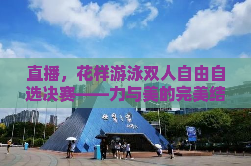 直播，花样游泳双人自由自选决赛——力与美的完美结合