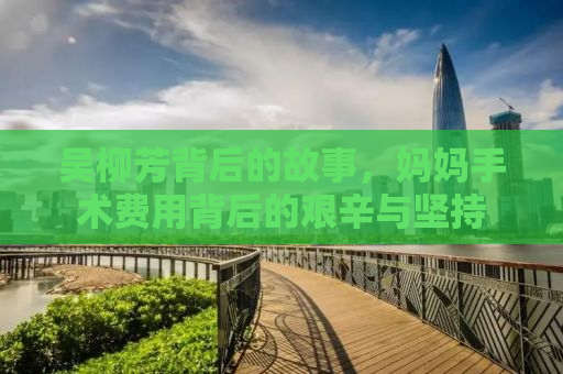 吴柳芳背后的故事，妈妈手术费用背后的艰辛与坚持
