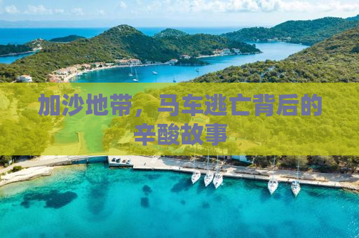 加沙地带，马车逃亡背后的辛酸故事