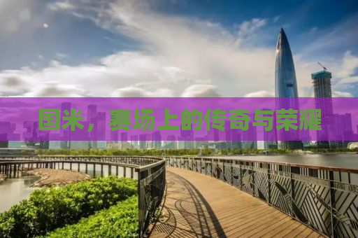 国米，赛场上的传奇与荣耀