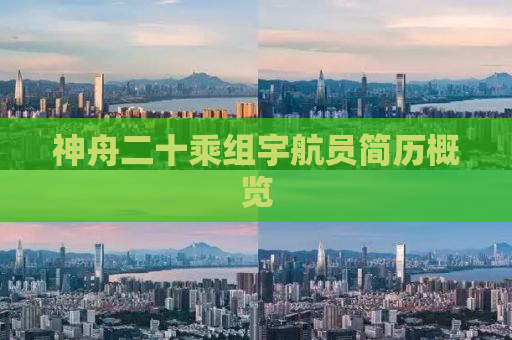 神舟二十乘组宇航员简历概览