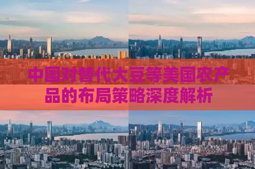 中国对替代大豆等美国农产品的布局策略深度解析