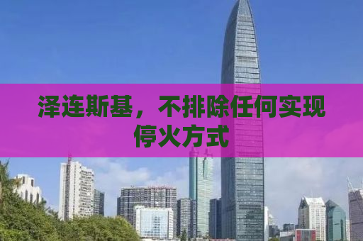 泽连斯基，不排除任何实现停火方式
