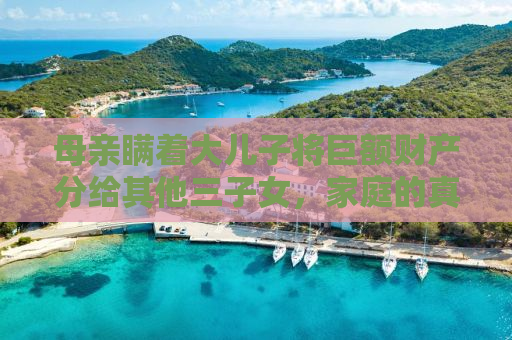 母亲瞒着大儿子将巨额财产分给其他三子女，家庭的真相与情感的纠葛