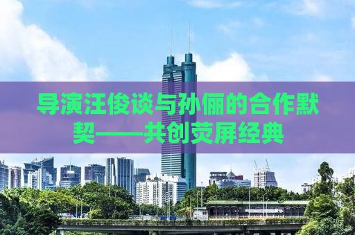 导演汪俊谈与孙俪的合作默契——共创荧屏经典