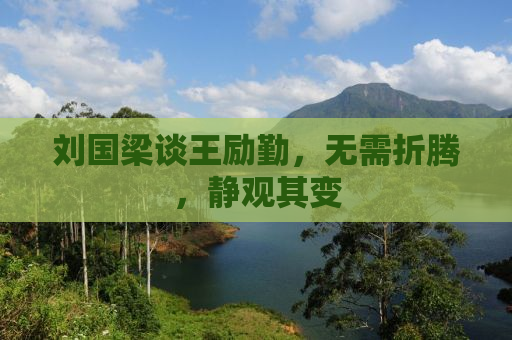 刘国梁谈王励勤，无需折腾，静观其变