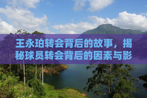 王永珀转会背后的故事，揭秘球员转会背后的因素与影响