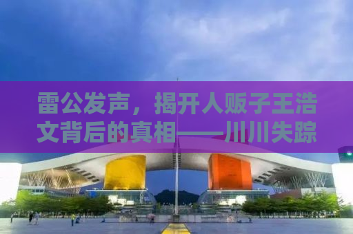 雷公发声，揭开人贩子王浩文背后的真相——川川失踪事件深度剖析
