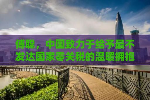 傅聪，中国致力于给予最不发达国家零关税的温暖拥抱