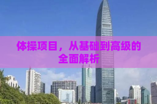 体操项目，从基础到高级的全面解析