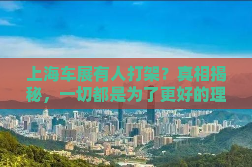 上海车展有人打架？真相揭秘，一切都是为了更好的理解