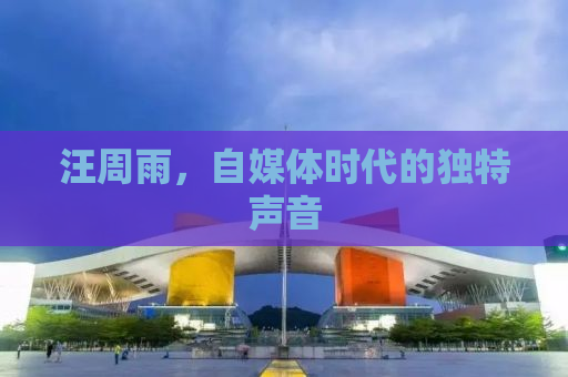 汪周雨，自媒体时代的独特声音