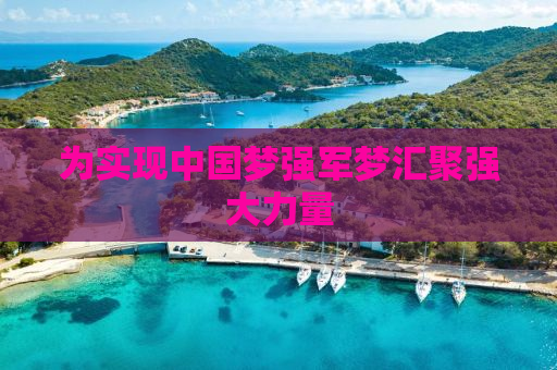 为实现中国梦强军梦汇聚强大力量