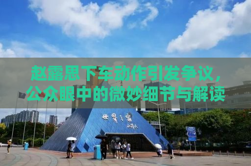 赵露思下车动作引发争议，公众眼中的微妙细节与解读