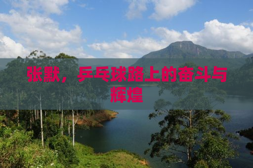张默，乒乓球路上的奋斗与辉煌