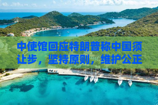 中使馆回应特朗普称中国须让步，坚持原则，维护公正
