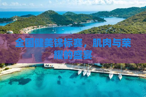 全国健美锦标赛，肌肉与荣耀的盛宴
